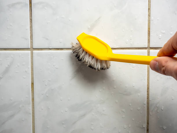 Best Water Damage Restoration  in Grand Ledge, MI