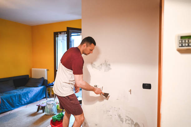 Best Black Mold Removal  in Grand Ledge, MI
